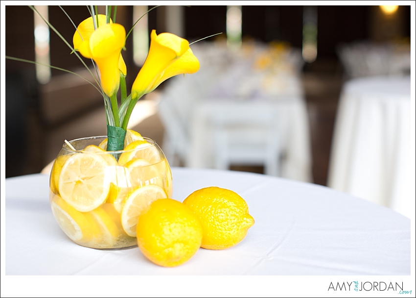 Eagle Mountain Wedding Photographers_0056