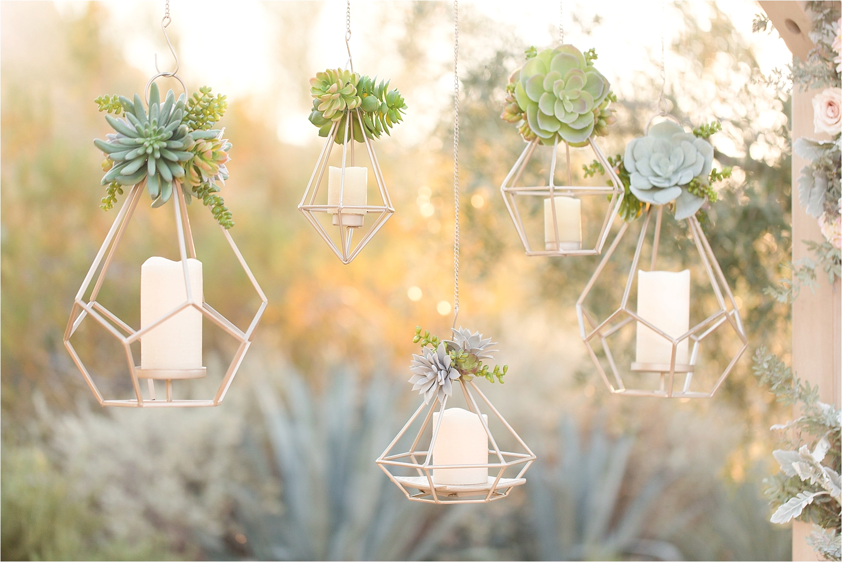 El Chorro Winter Wedding_0023