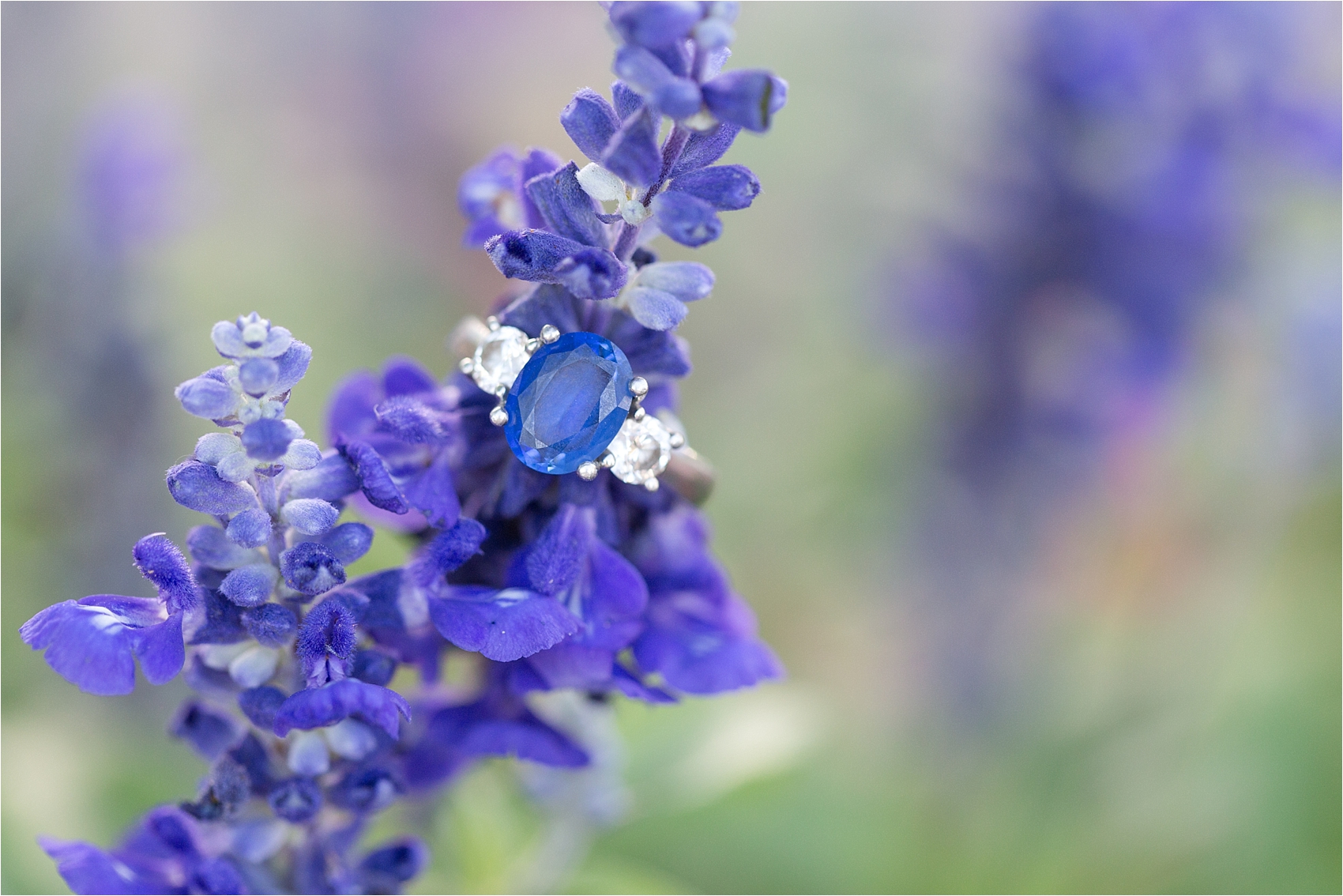 The Farm South Mountain Wedding Engagement Photo_0022