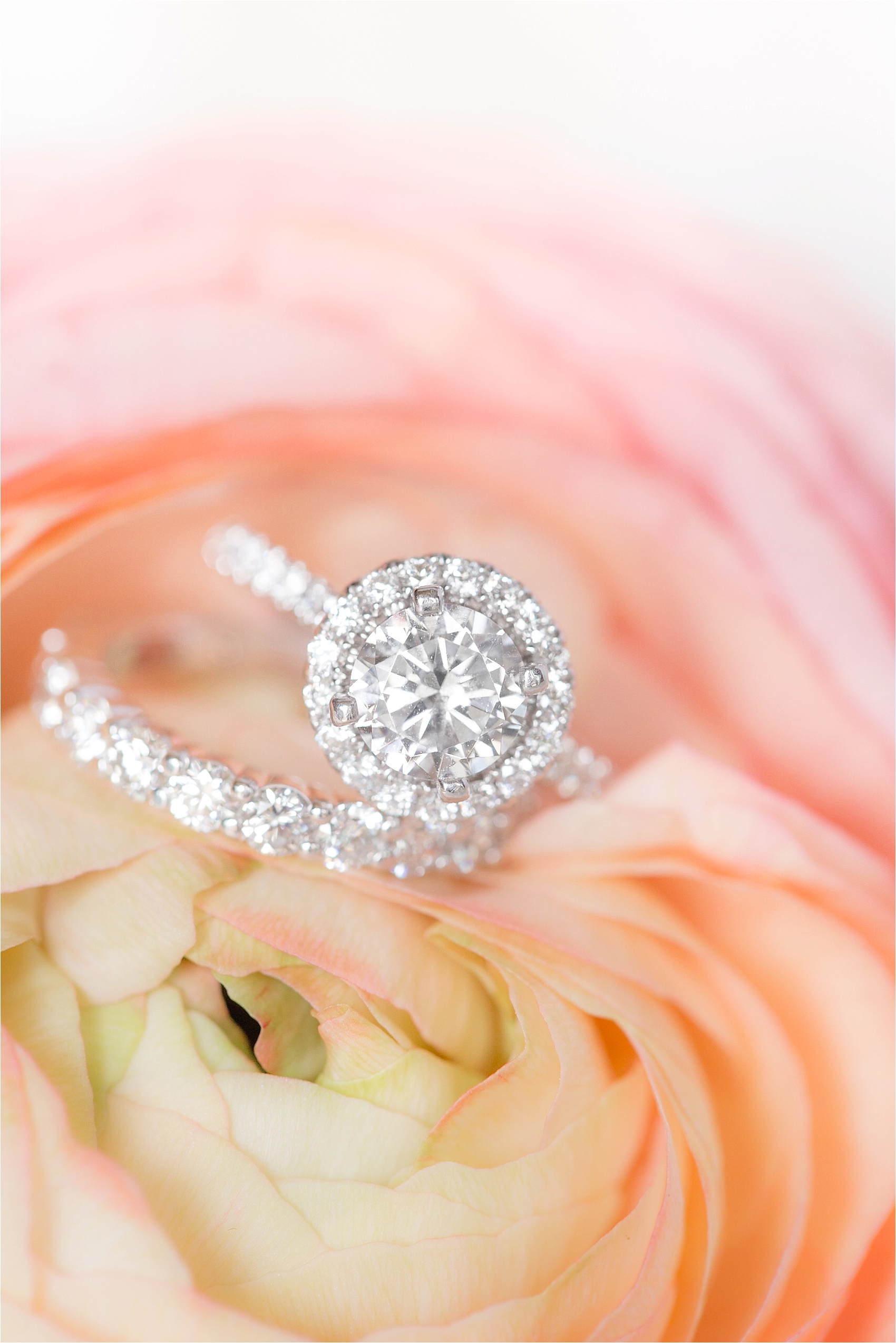 Ombre Ring Shot with Halo Cut Diamond and Diamond Wedding Band