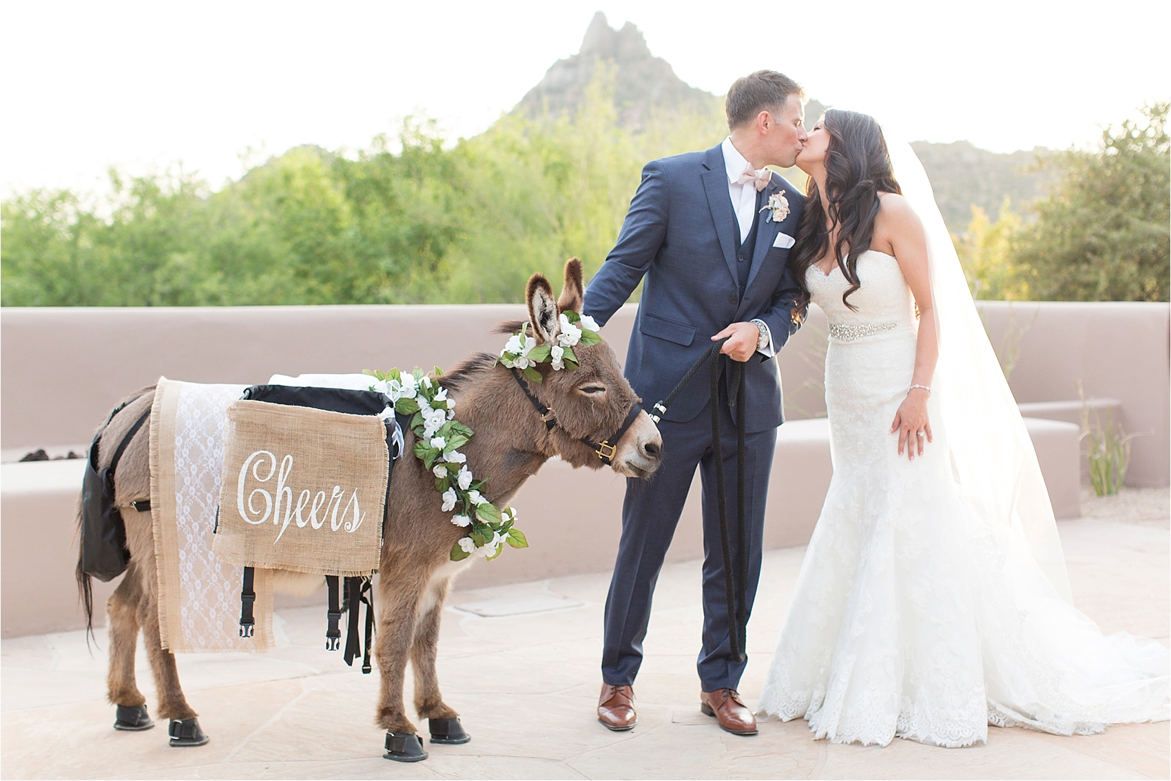 Four Seasons Scottsdale Wedding in Arizona Bride and Groom with Beer Burro Donkey
