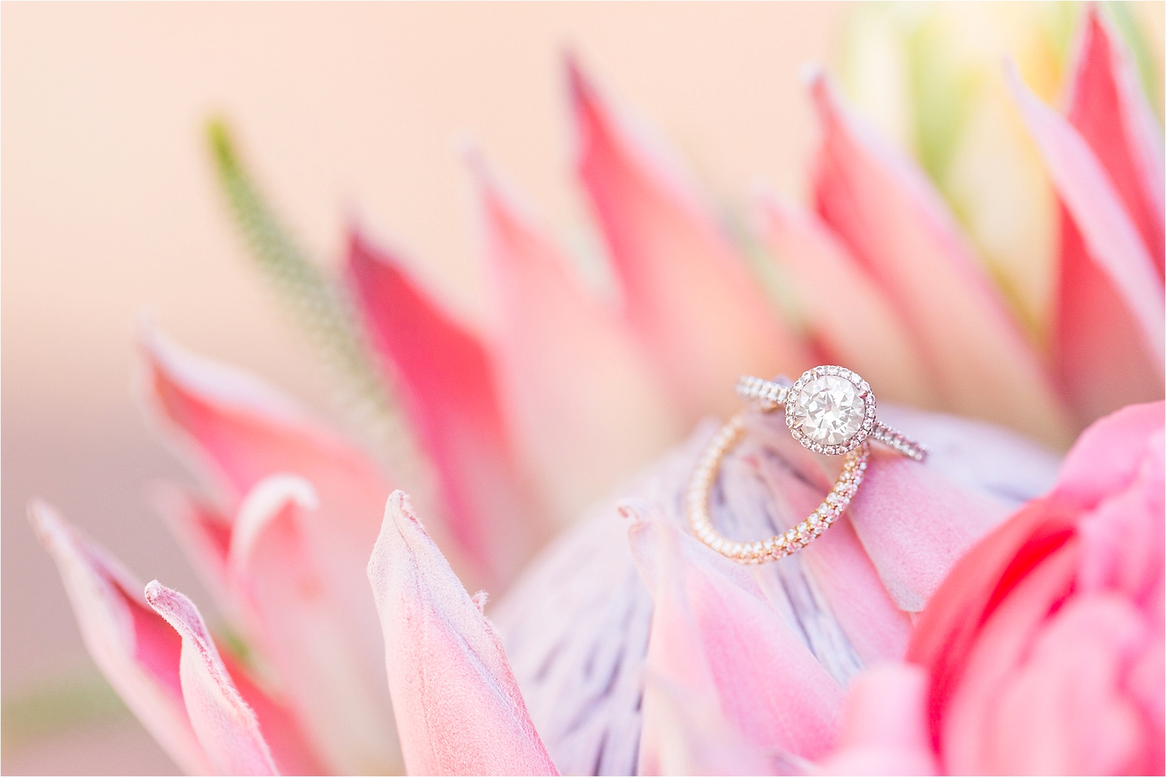 Diamond Halo Round Cut Engagement Ring Colorful Royal Palms Wedding Bouquet